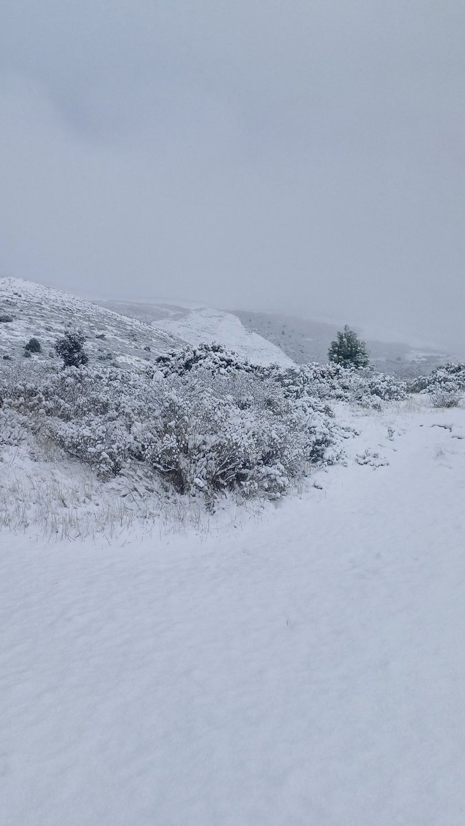 Increíble la nevada caída en la #SierradeLasNieves hoy 24 de Enero #nieve 🌨❄️