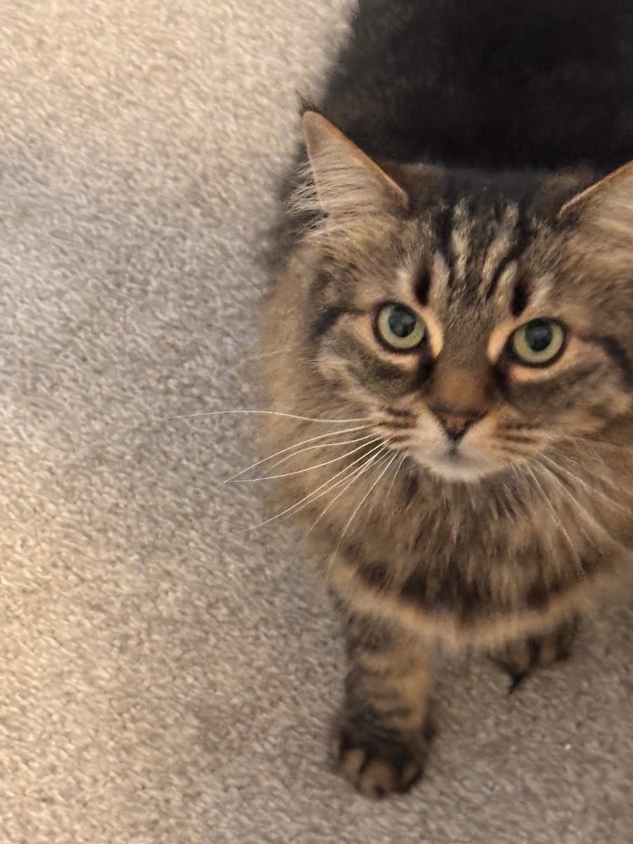 Jean Brines tweet media