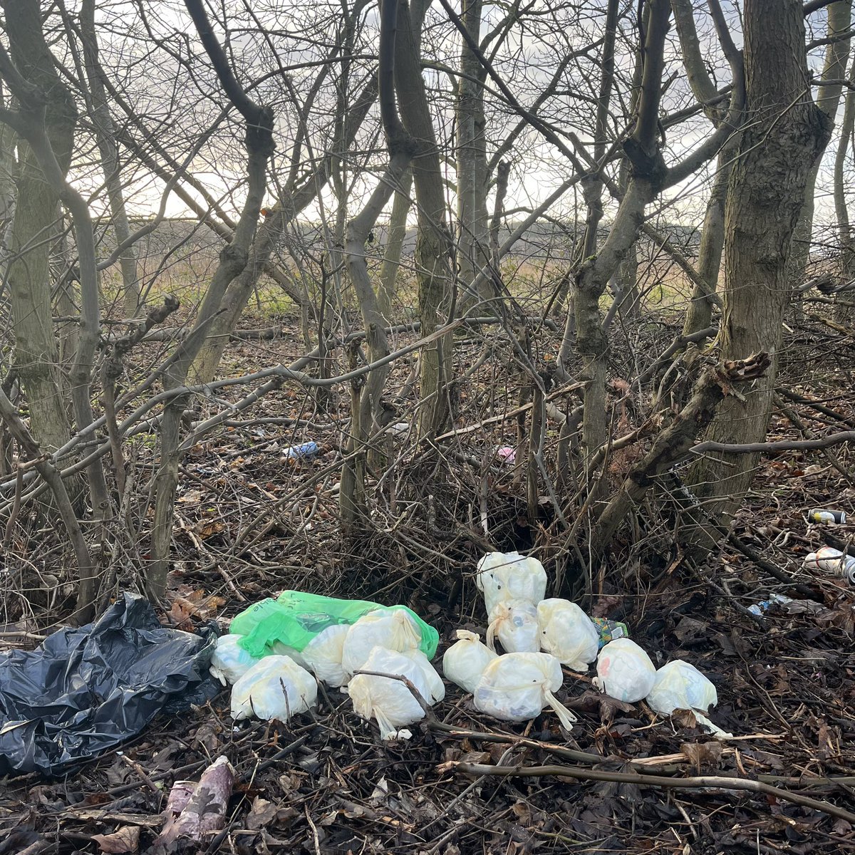 Simon Warren tweet media