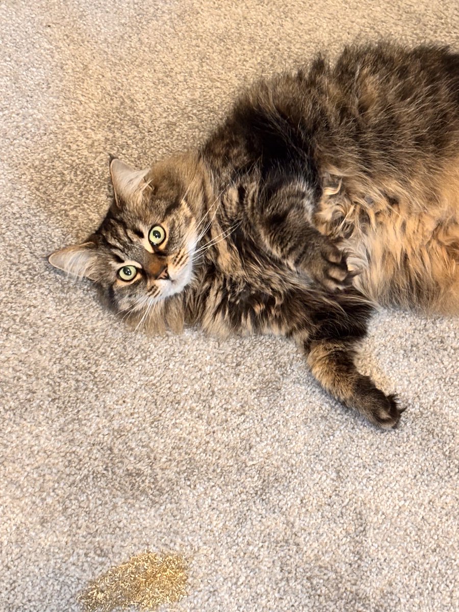 Jean Brines tweet media