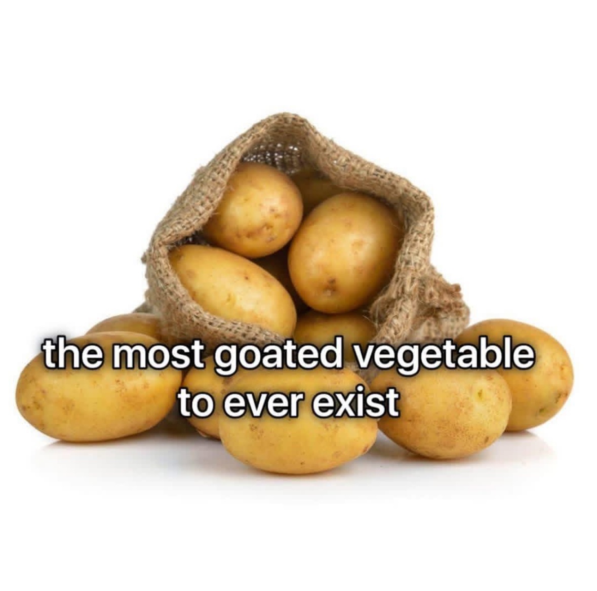 Respectful Memes tweet media