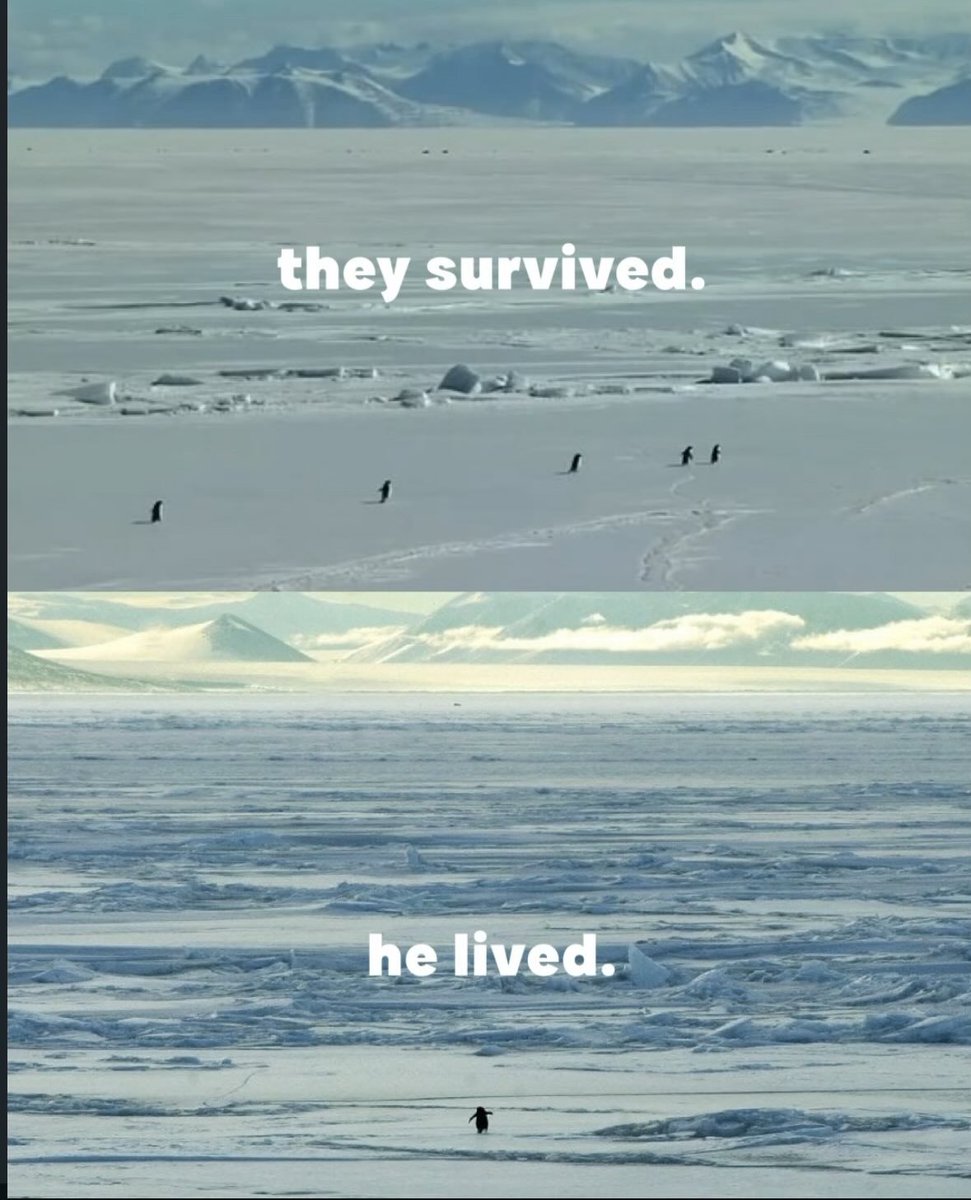 <a href="/AMAZlNGNATURE/">Nature is Amazing ☘️</a> Nihilist?