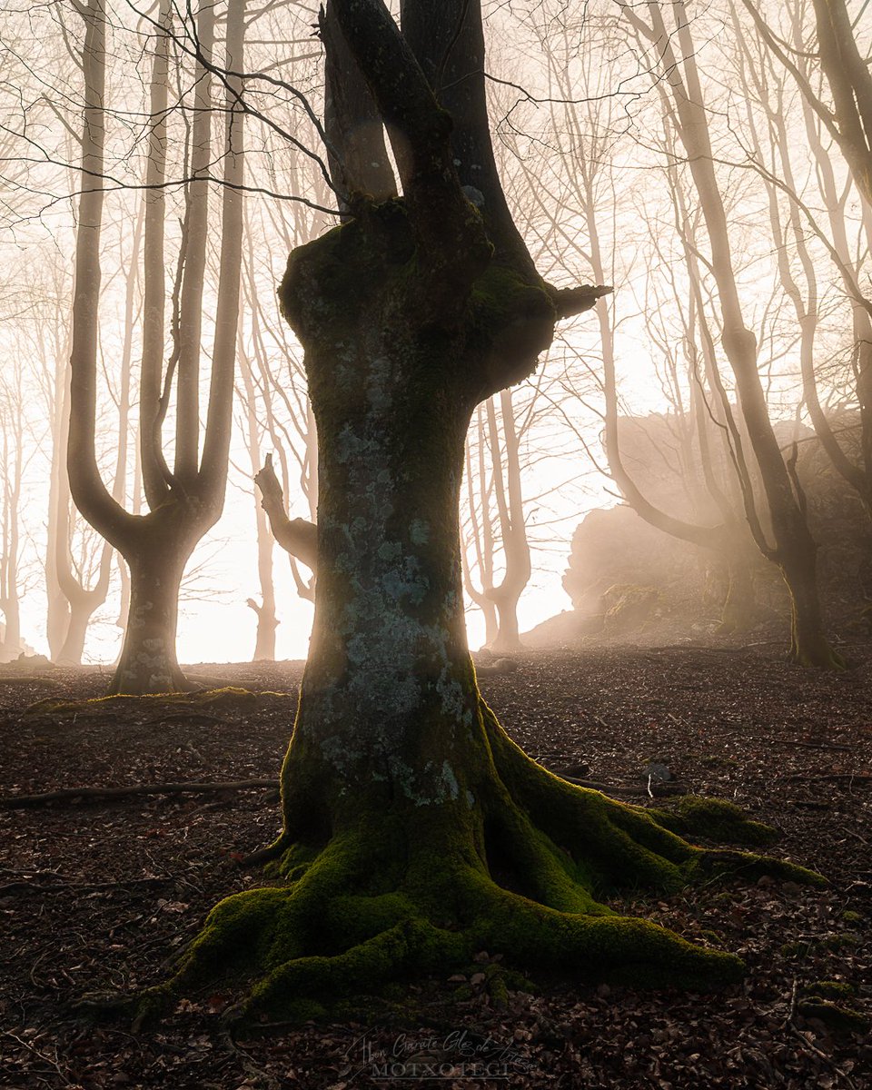 Urkiolako Parke Naturala.