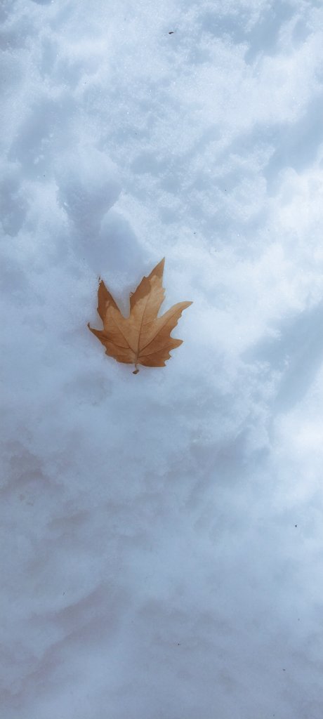 aatifmunna's tweet photo. Fallen,not forgotten . https://t.co/0MjbZNUpal