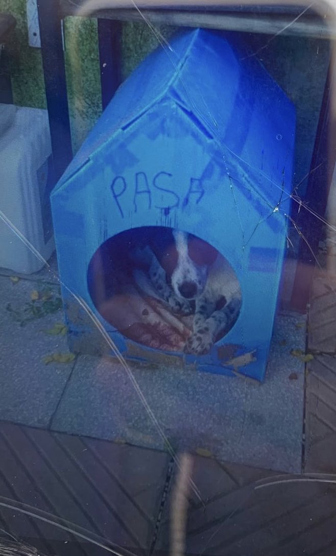 Manisa’da üstelik bir çocuğunun gözleri önünde  uysal bir köpeği kafasına vura vura  vahşice öldüren şüpheli gözaltına alınmıştır. Hak ettiği cezayı almasını diliyorum. Merhamet ve vicdan olmadan insanlık olmaz. #Paşa