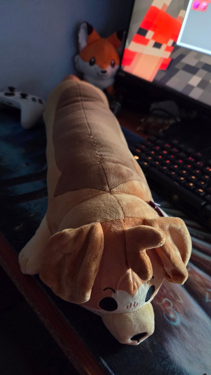 NozzaFox's tweet image. The @barqOfficial long boi has arrived