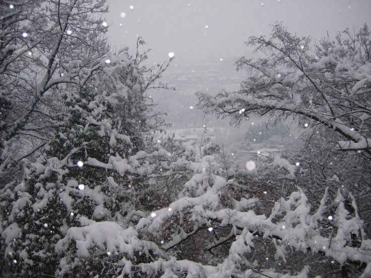 𝑠𝑜𝑓𝑡 𝑤𝑖𝑛𝑡𝑒𝑟.