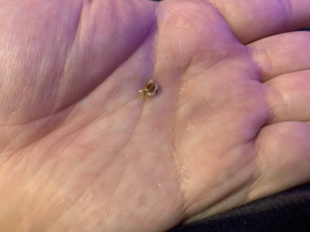 Groundlike_'s tweet image. うぉーちっちゃ