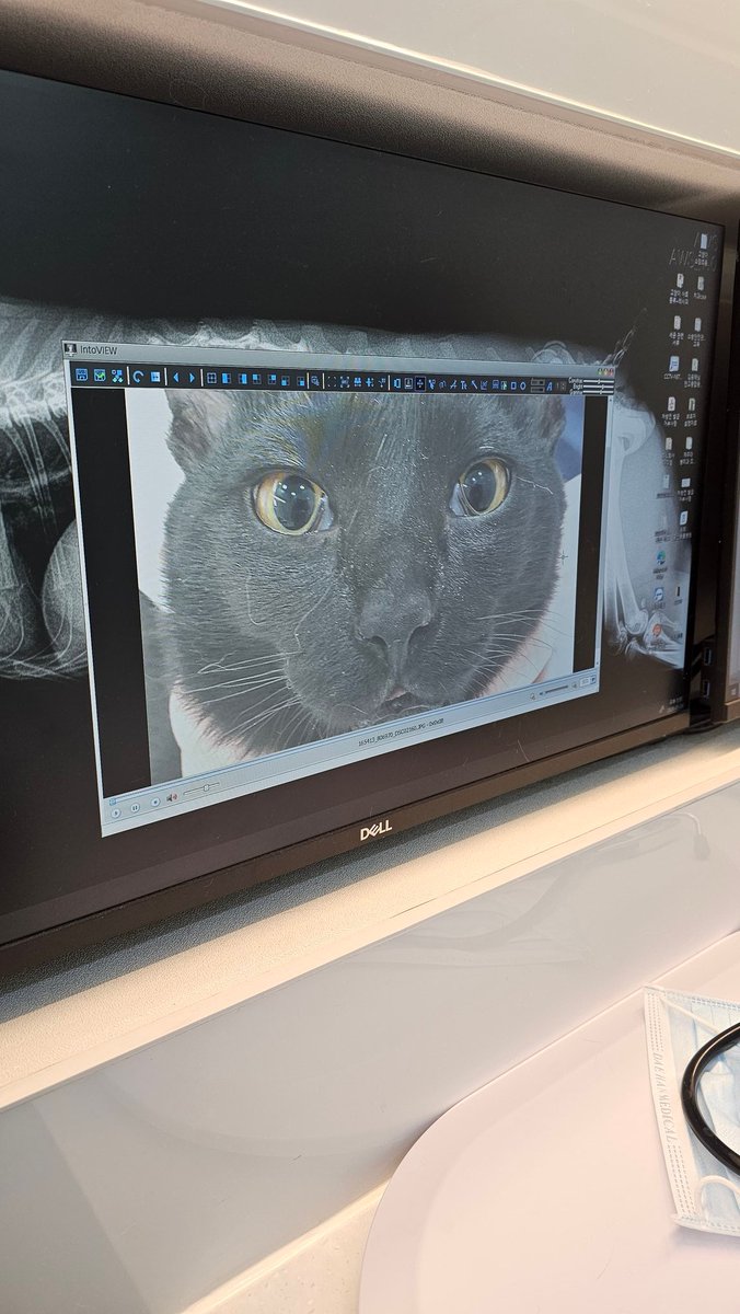 땡추.. 오늘 돈까스먹는날