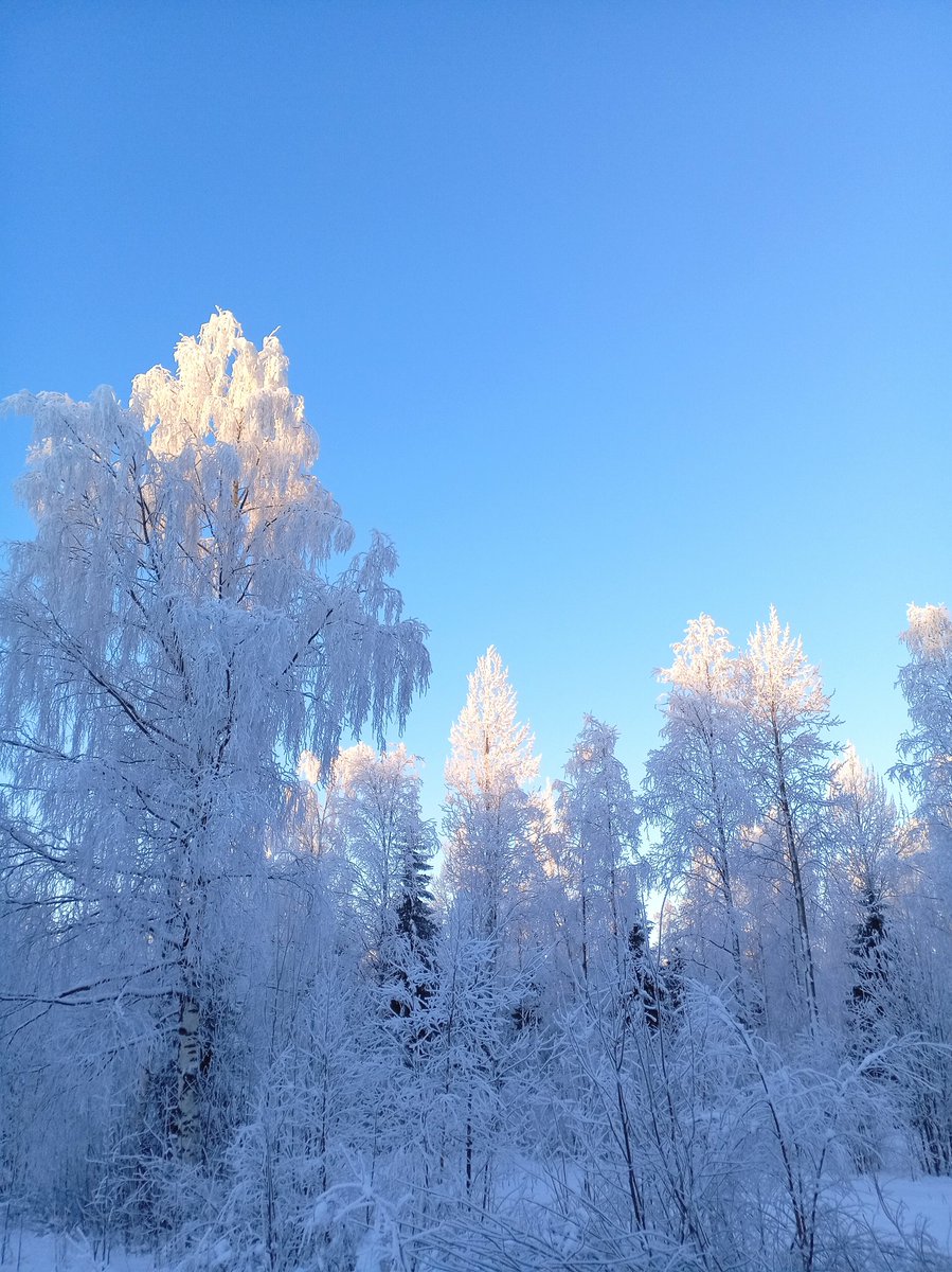 eija_tt's tweet photo. -18°C 🤍🤍🤍 https://t.co/dhUNFXsOe9