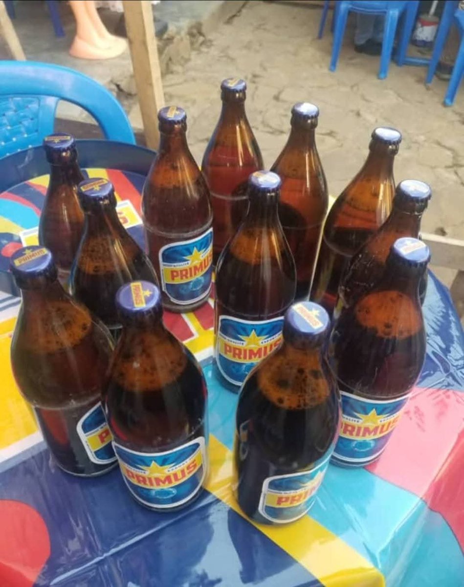 Kivuinfo24's tweet image. RDC 🇨🇩📍#Bukavu :
La ville célèbre le retour de sa bière la plus populaire. Localement appelée « Mbuguma », un terme populaire évoquant la force et la satisfaction, la Primus de 72 cl est de nouveau sur les tables ce week-end, au grand bonheur des consommateurs après une longue