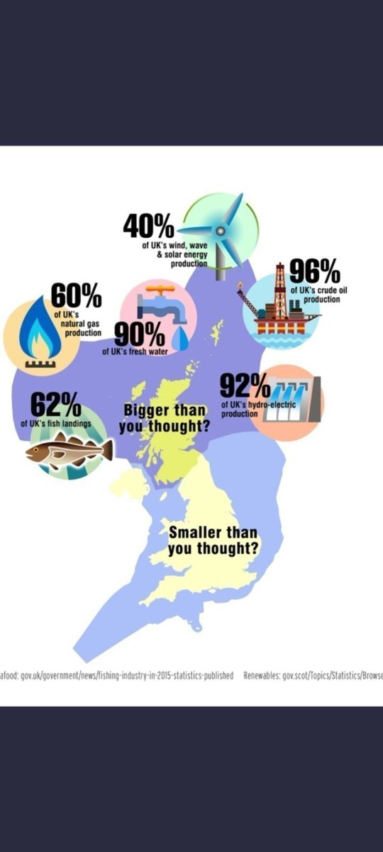 Izzy 🏴󠁧󠁢󠁳󠁣󠁴󠁿🇪🇺🏴󠁧󠁢󠁳󠁣󠁴󠁿ALBA tweet media