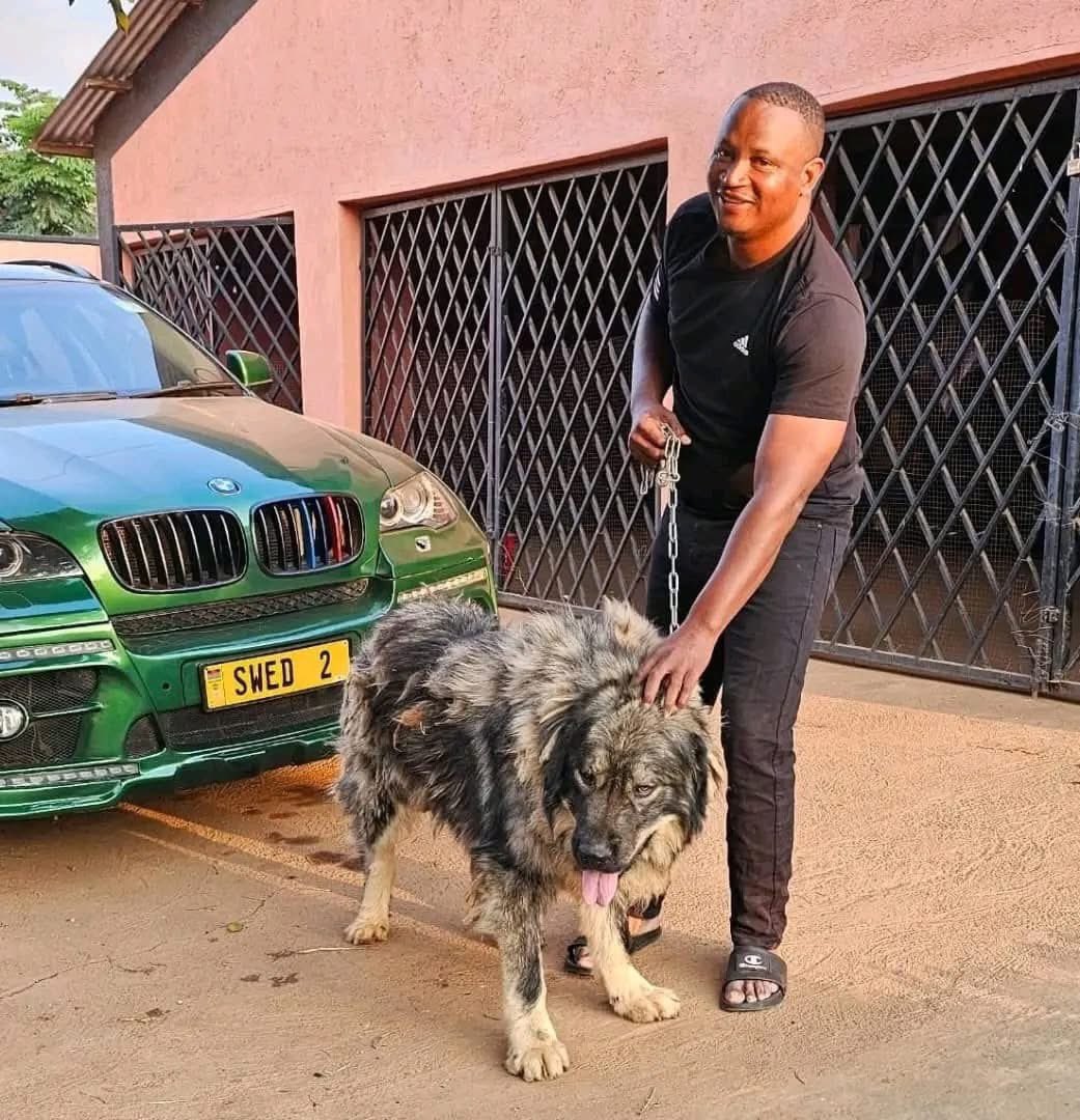 Mafumu Promoters tweet media