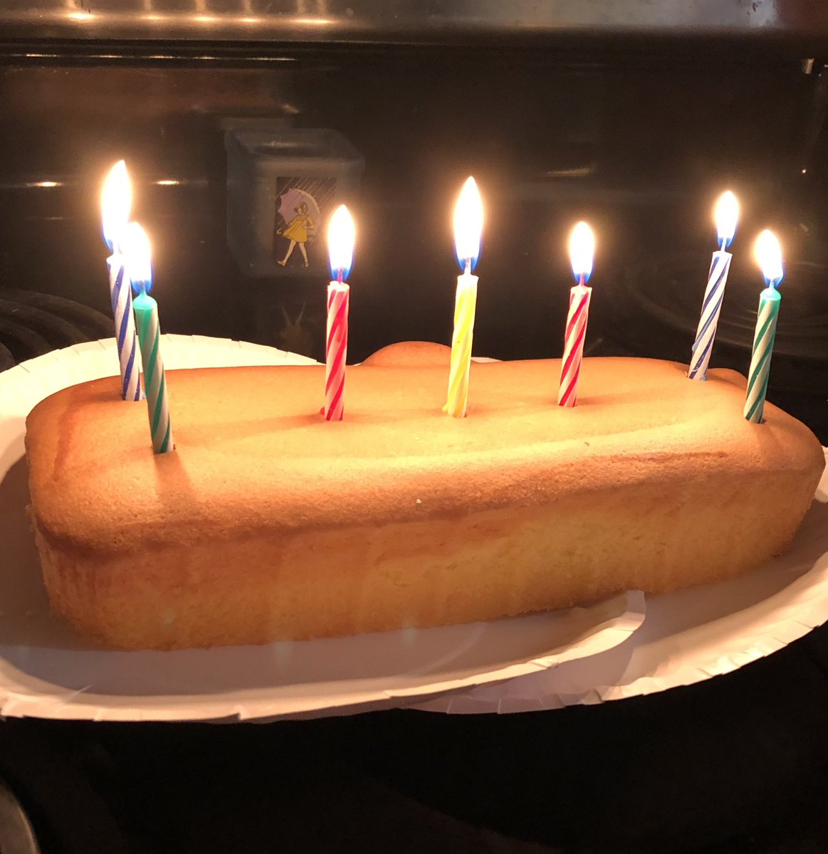 ctrymaus's tweet photo. Happy Birthday, Bunnicula! Thursday, January 22, 2026 #birthdaycake #birthday #birthdaycandles https://t.co/dkrN4w3oDx