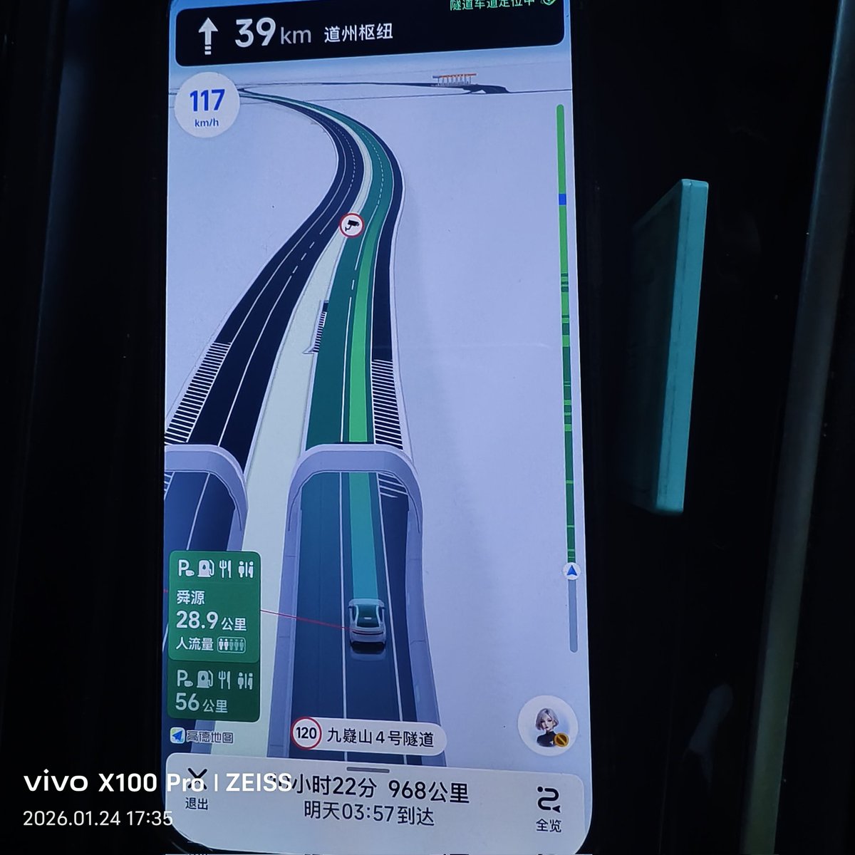 鱼人#鱼馆 tweet media