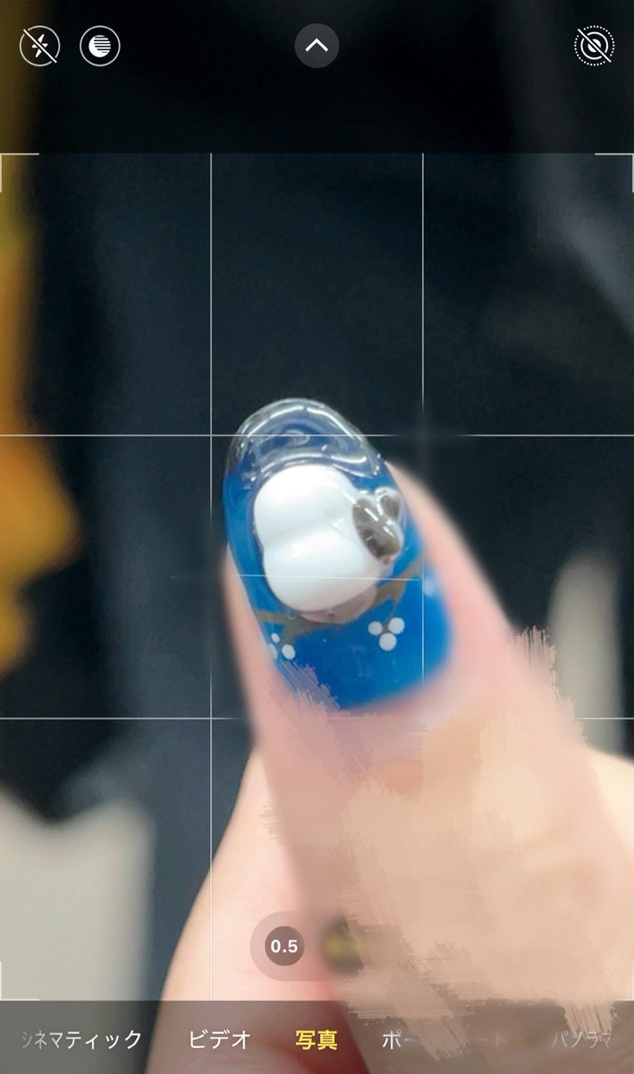 シマエナガ、顔がなくなってただの雪見だいふくになってしまった