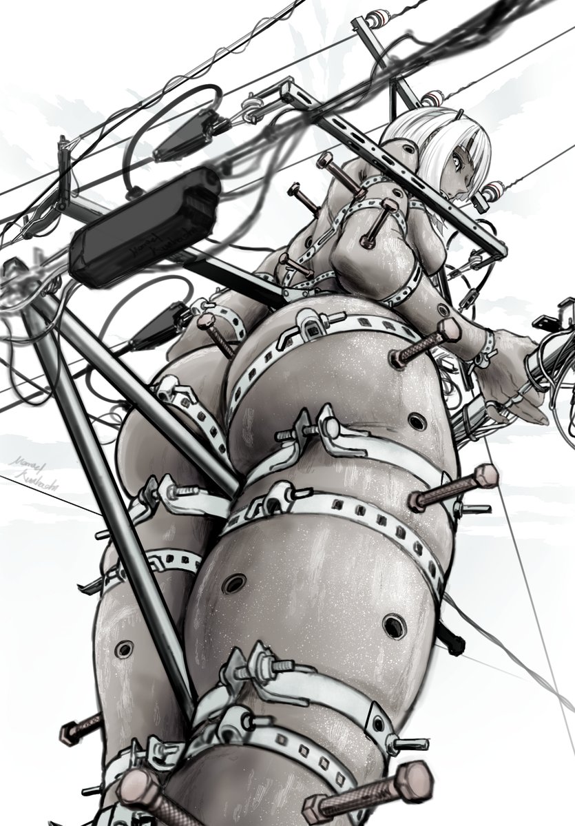 電娘柱
変圧器なし 