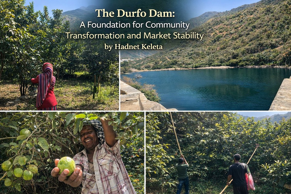 GhideonMusa's tweet photo. The Durfo Dam: A Foundation for Community Transformation and Market Stability
By  by Hadnet Keleta @hadnetkeleta 
Red Sea Beacon @RedSeaBeacon 

The Durfo Dam in Eritrea (Central Region, near Asmara) has transformed the local community and stabilized markets.

Built by Eritrean Defense Forces + locals, it ended chronic water shortages, enabling year-round farming (fruits, veggies), livestock raising, and honey production.With Ministry of Agriculture training, it boosted incomes, improved health/nutrition, reduced rural-urban migration, and ensured steady supply of fresh produce to Asmara's markets.

Part of Eritrea's broader push: over 1,000 such dams built for resilience against drought and food security.A real example of grassroots development turning vulnerability into productivity ! #Eritrea #EritreaPrevails 
https://t.co/9utZLZYjPP