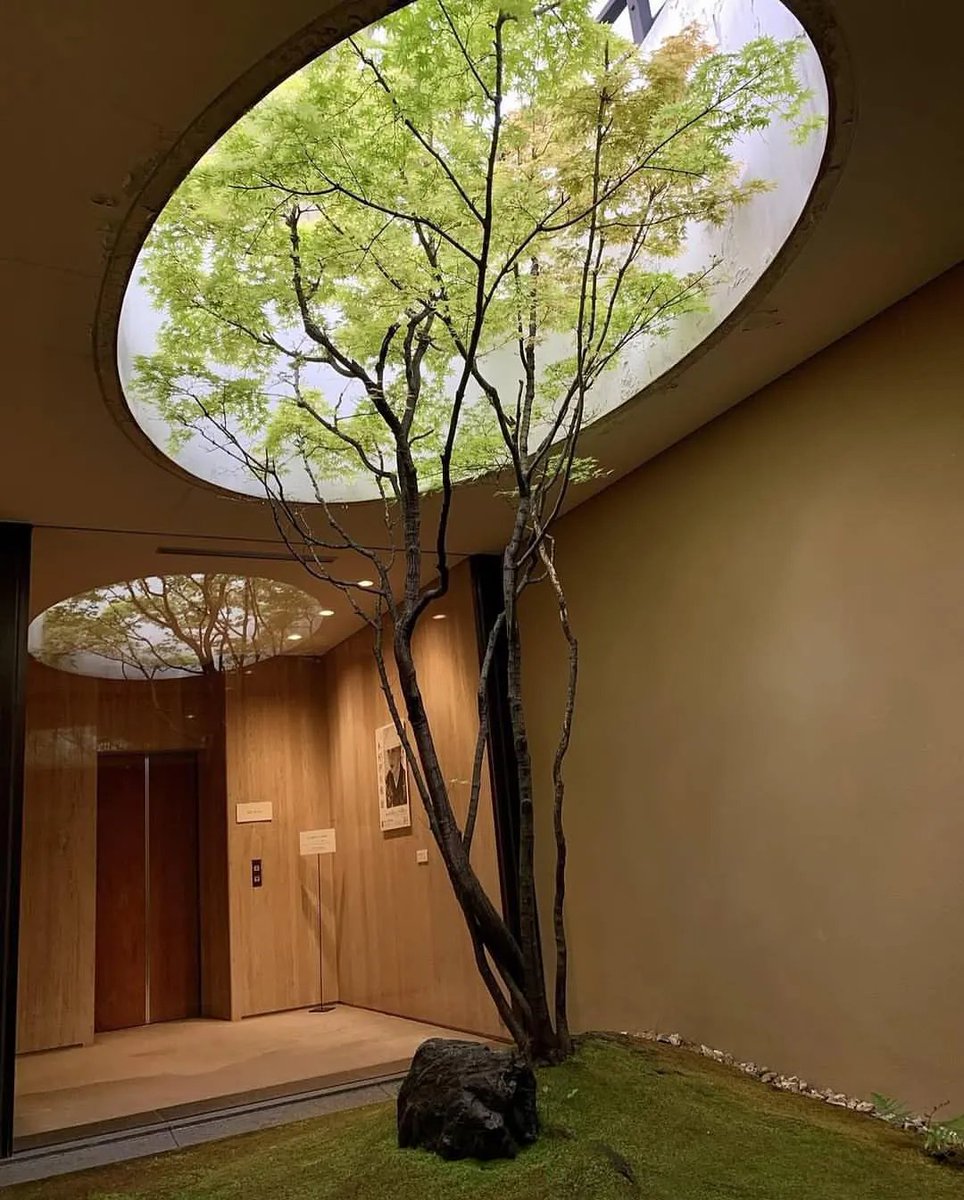 artindetails's tweet image. biophilic design