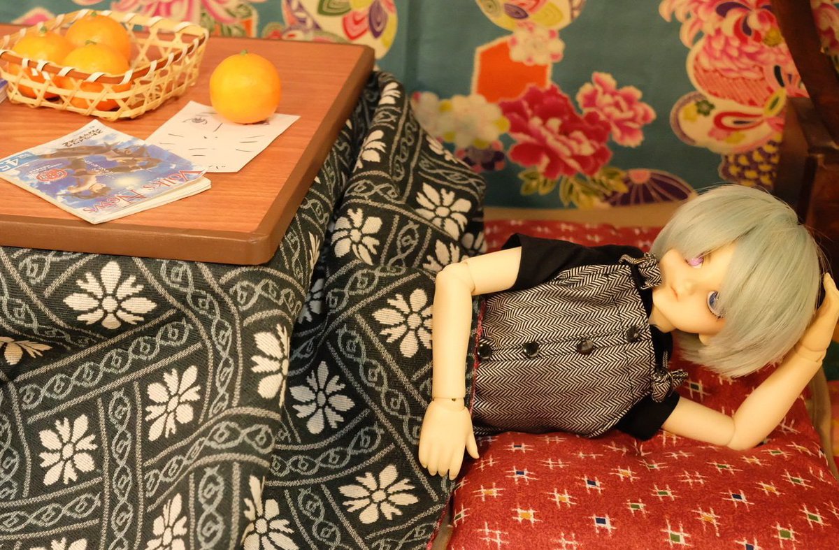 shirokworld's tweet photo. 坊っちゃんもコタツでゴロゴロ🍊

#DOLKフォトコン2025冬 https://t.co/qzzjB50Urq