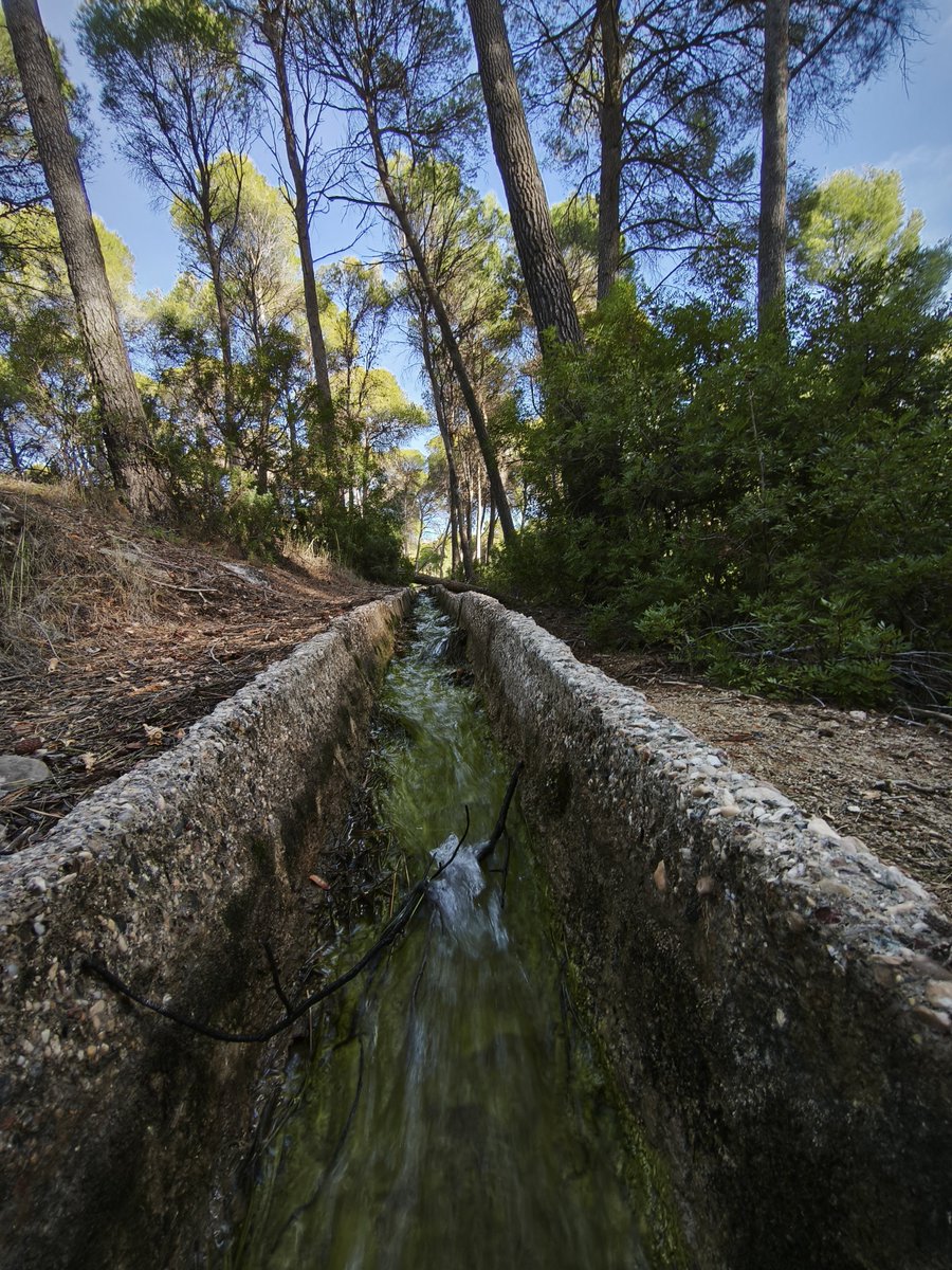 Franki_84's tweet photo. Sierra Espuña. https://t.co/h3vYlBLYxg
