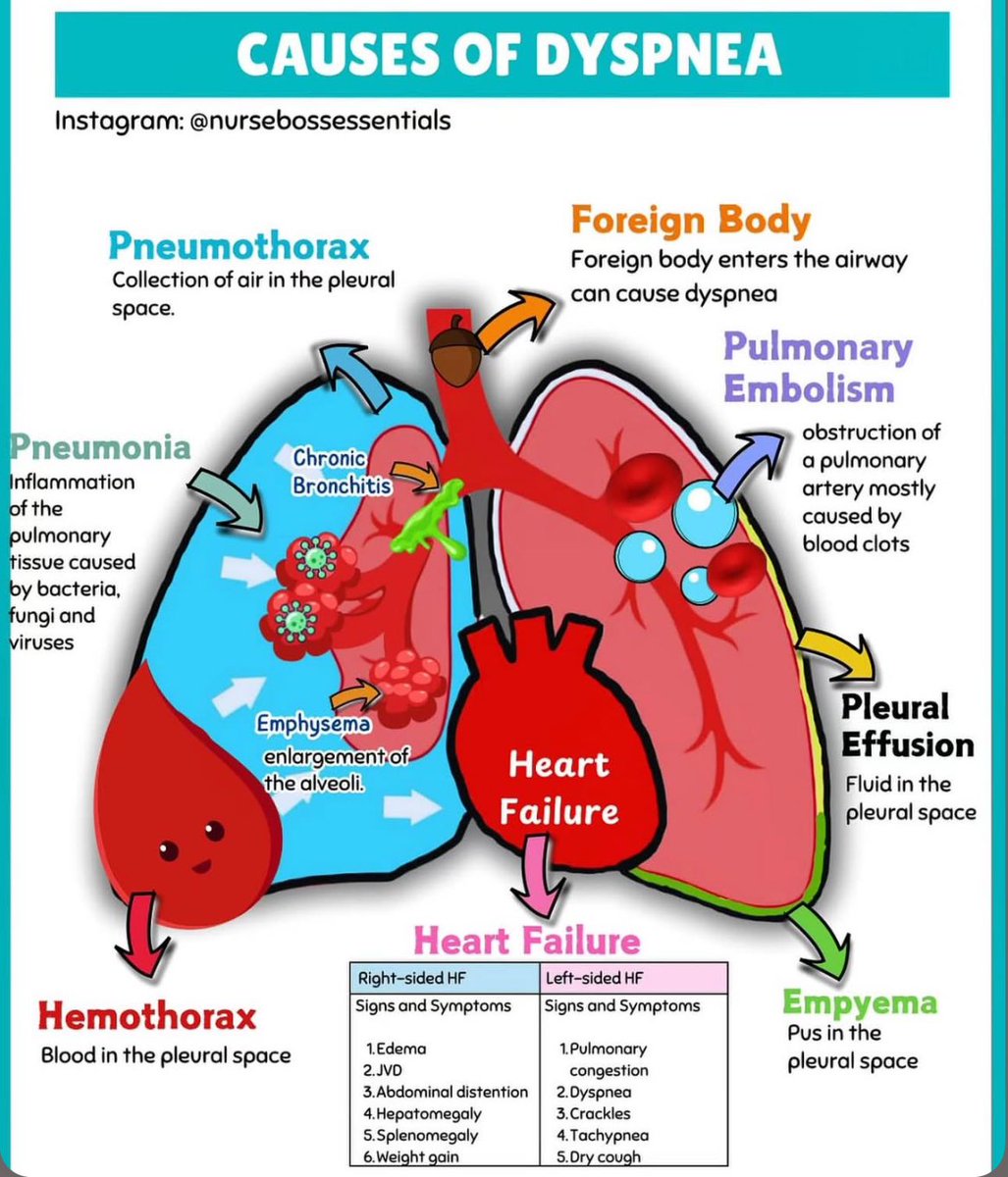 Causes of dyspnea. 🌟