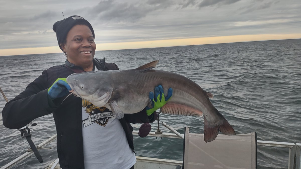 Carole Hinten tweet media