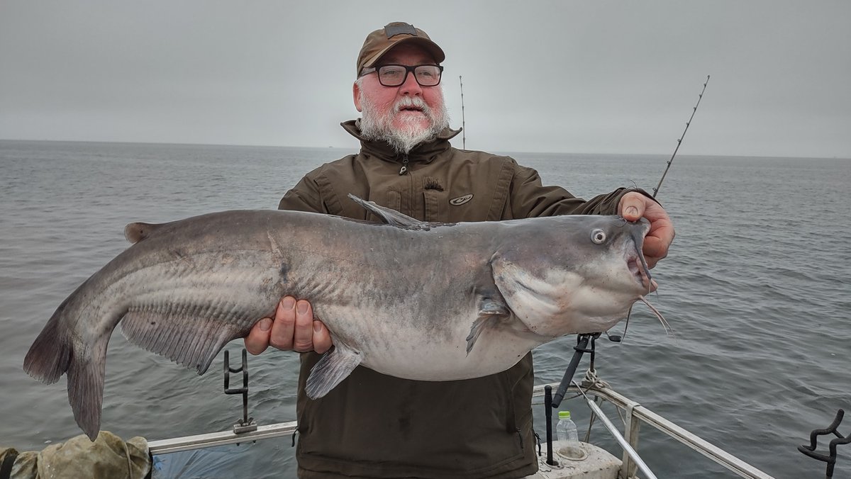 Carole Hinten tweet media