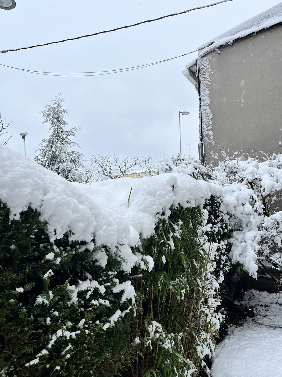 LlacunaXavi's tweet photo. @MeteoGasso Deu n’hi do, aquesta ultima hora no ha parat i s’han acumulat uns cm més https://t.co/ieAhKWNnAx