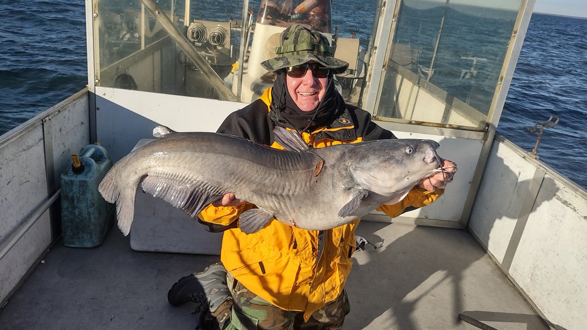 Carole Hinten tweet media