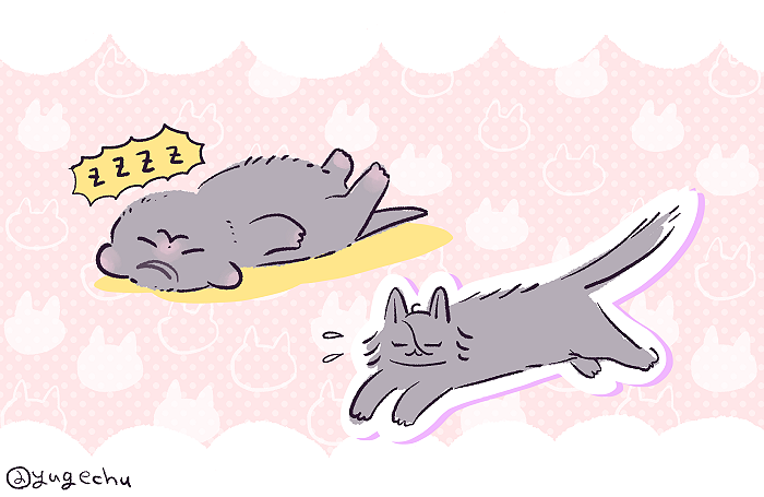 yugechu's tweet photo. グリ襲（Sakuma cats/Amagi cats） https://t.co/kHp4yqFe3v