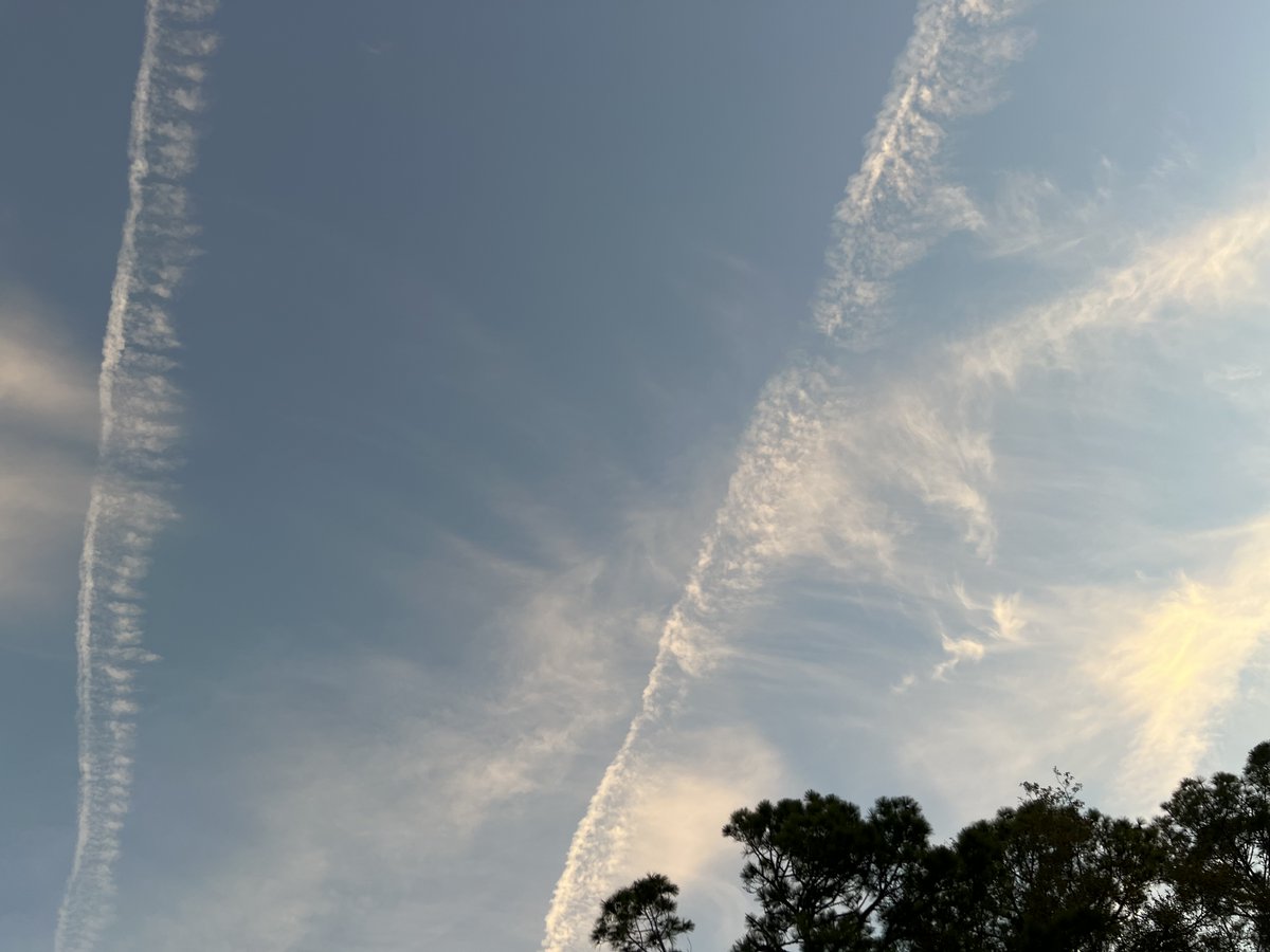 eschulton's tweet photo. 2026-01-24 chemtrails over Sarasota, Florida.  Why outlaw the practice and then allow it to continue?  What started as a beautiful blue morning become a haze of gray one hour later. #chemtrails #GeoEngineering #Sarasota #Florida @SenAshleyMoody @JoeGruters @TommyGregoryFL @fionaforflorida @BuchananFL @GovRonDeSantis @FLSurgeonGen @geoengwatch