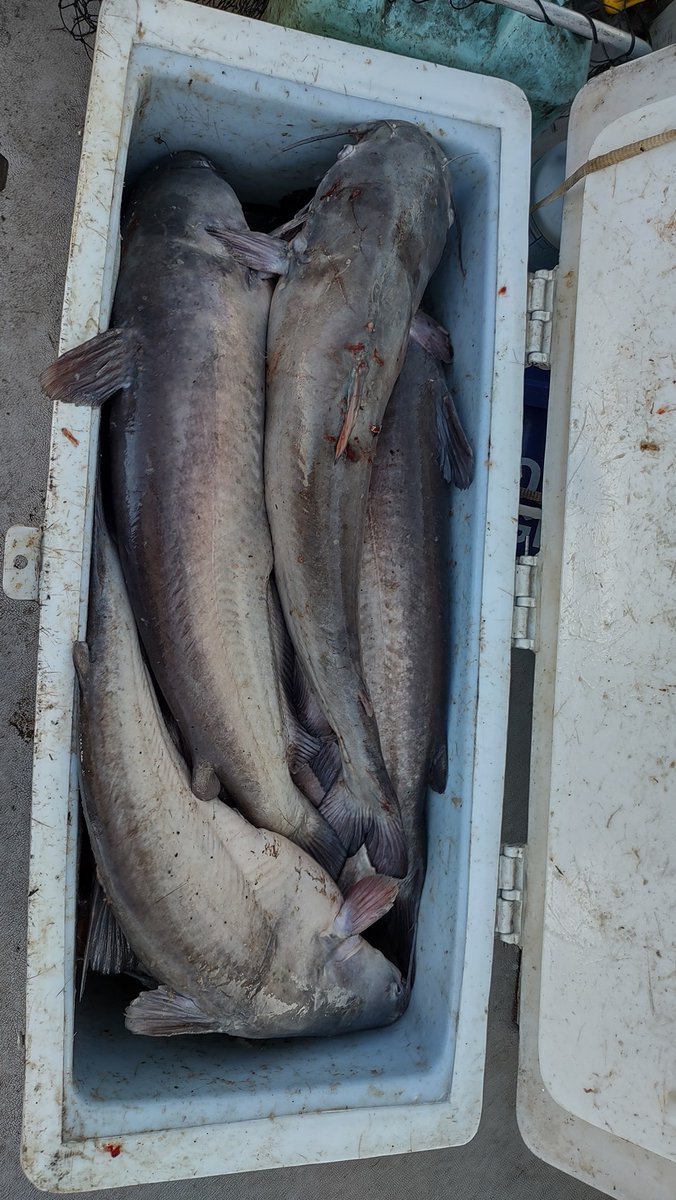 Carole Hinten tweet media