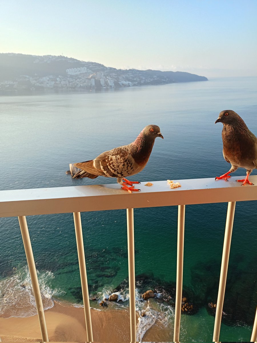 Purpuple_'s tweet image. Buenos días... ☀️😬
.
.

#FelizSabadoATodos