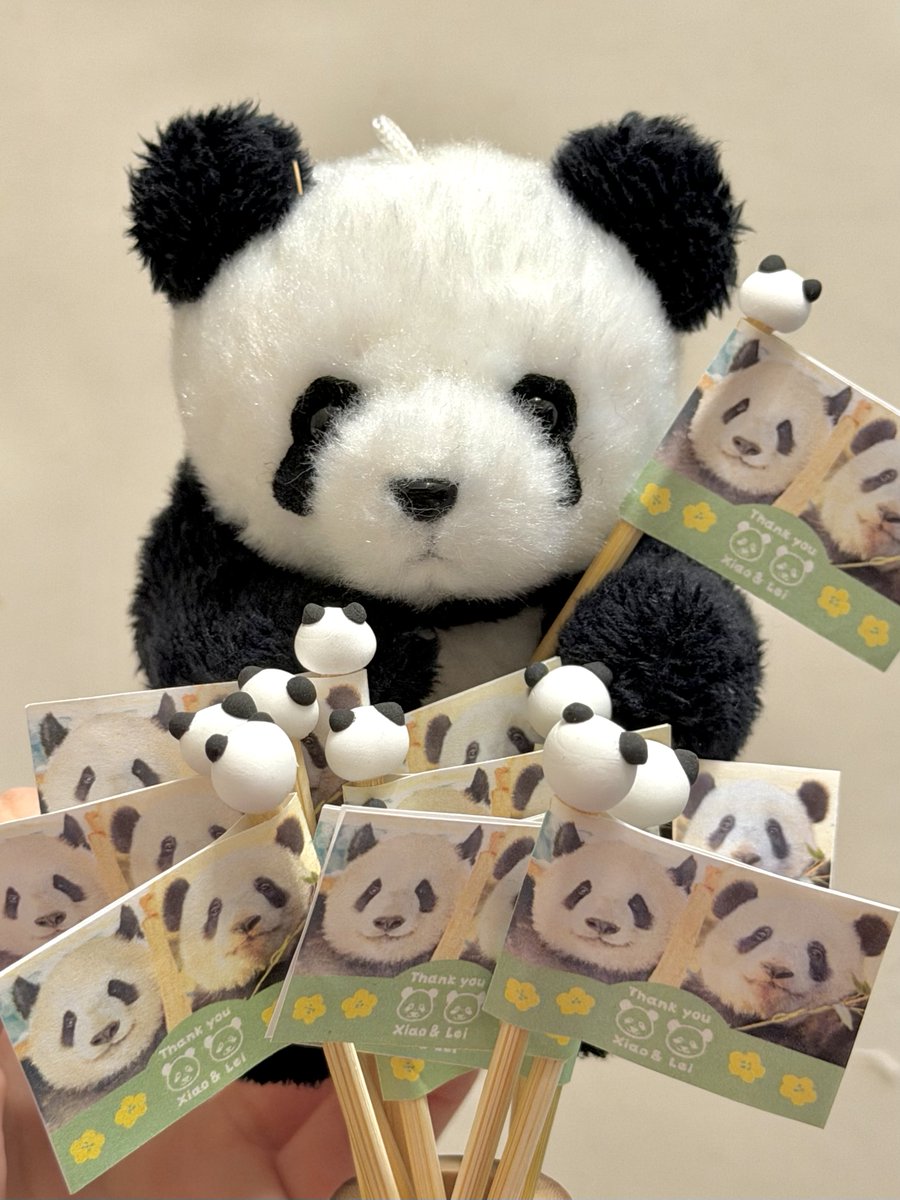 kuma.xiang (@kumaxiang) / Posts / X