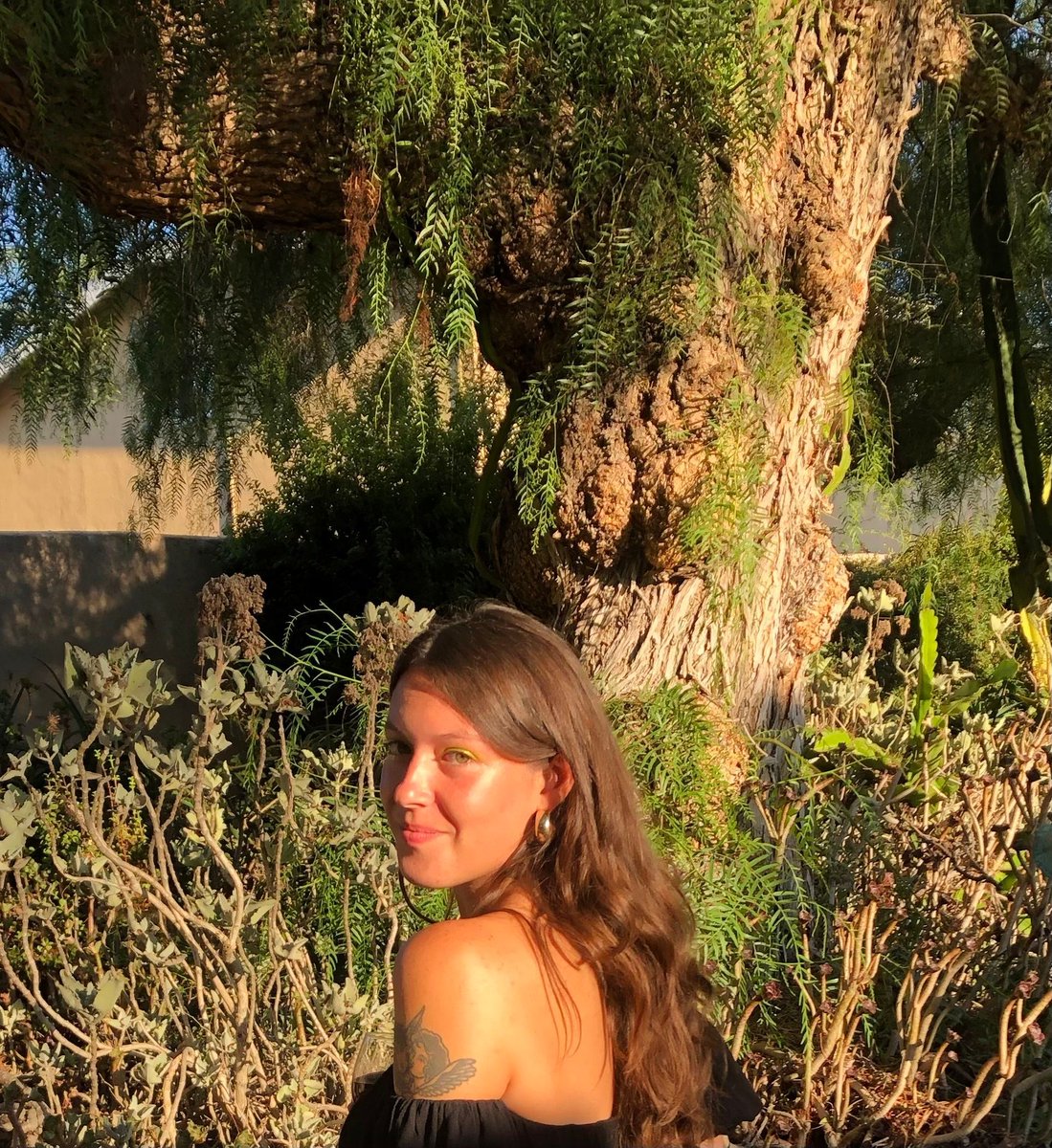 LSU Creative Writing tweet media