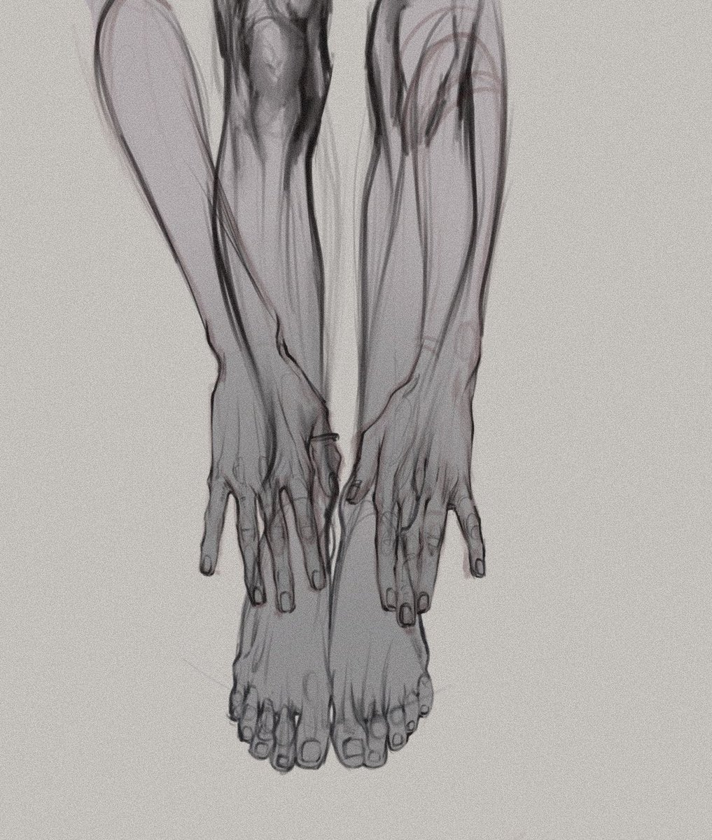 • noc • tweet media