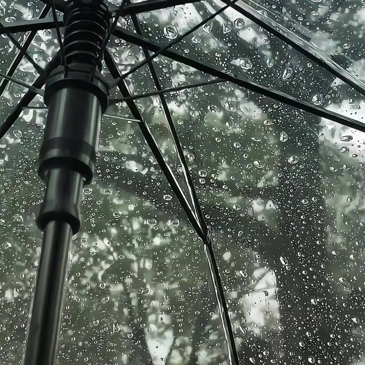 artindetails's tweet image. rainy day