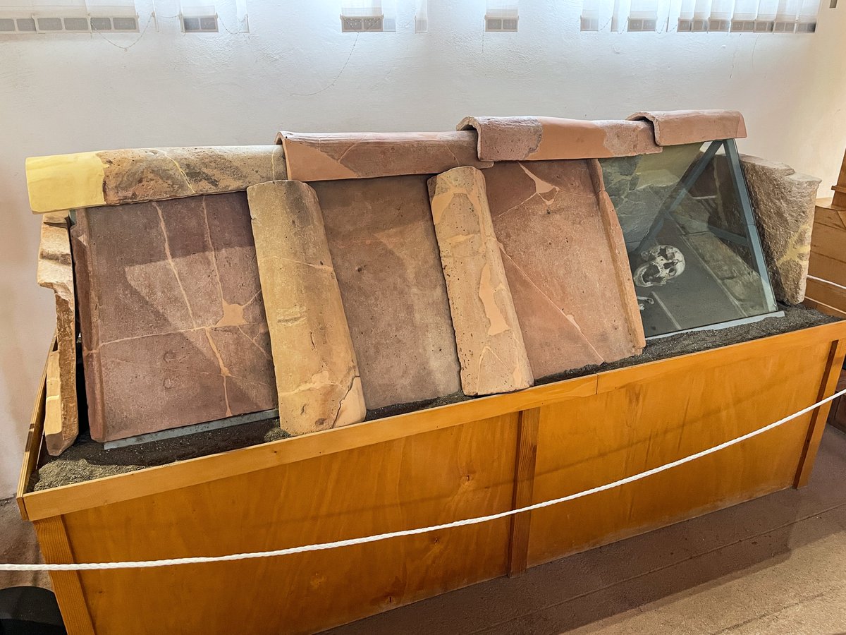 Gareth Harney tweet media