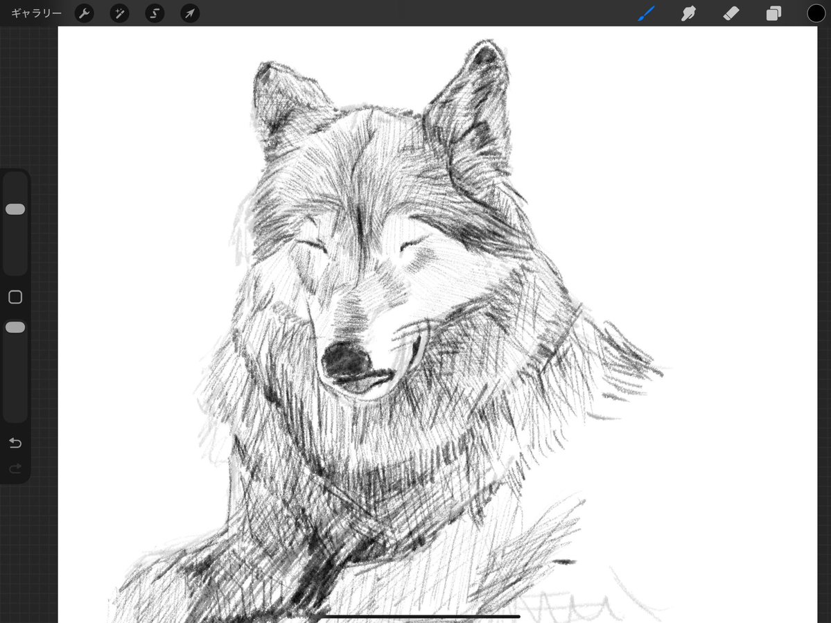 TLにいたかわいい犬