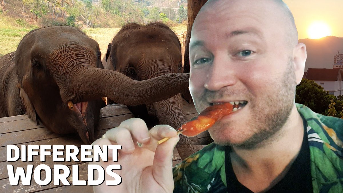 Adam McDermott tweet media