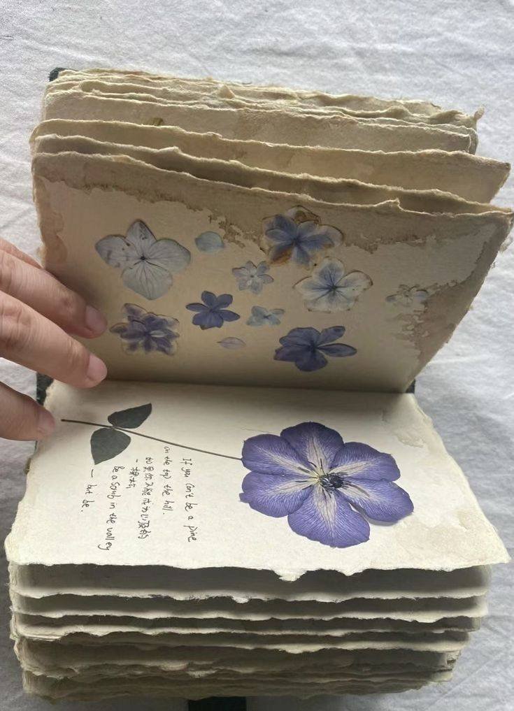 artindetails's tweet image. pressed flowers