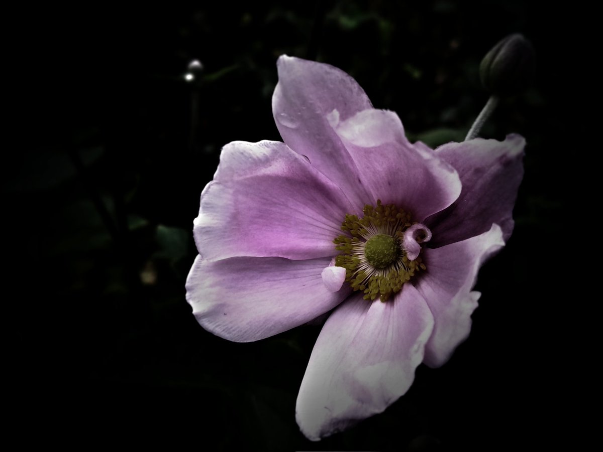 強がりばかりの弱さ
弱音をこぼせる強さ
日に日に無口になる
どっちつかずの孤独

#路傍の宝石