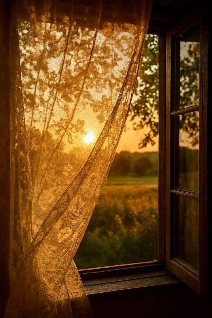 artindetails's tweet image. golden hour