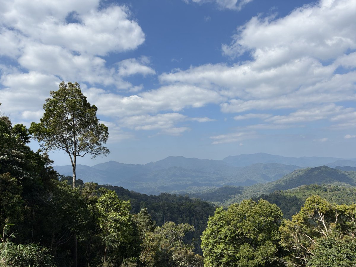 Alan Davies tweet media