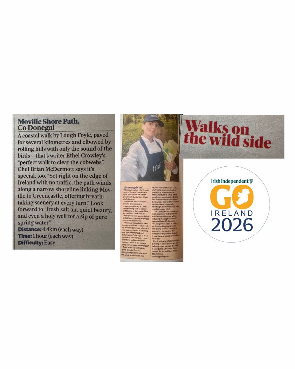 Brian Mc Dermott tweet media