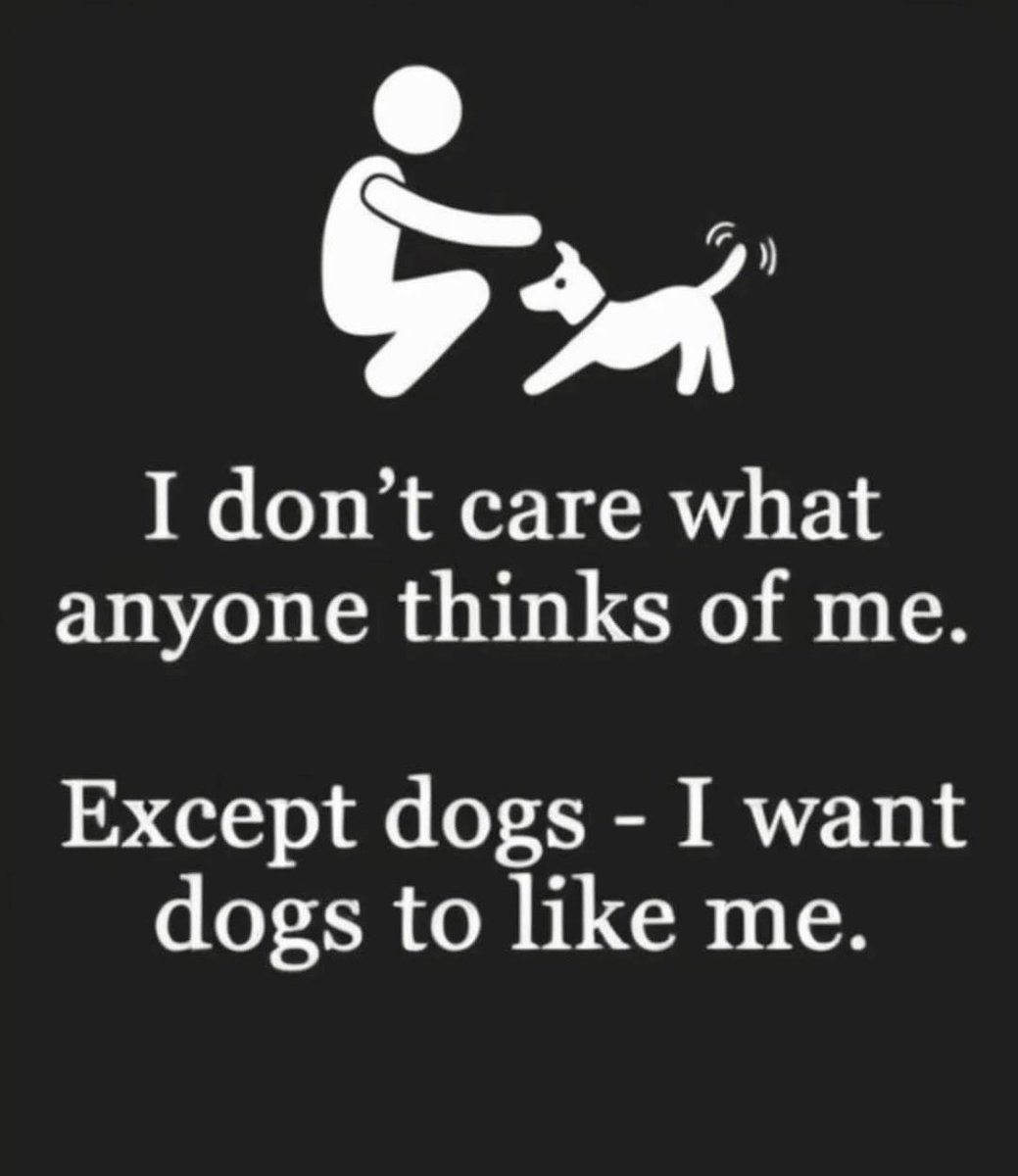 FrontGrid101's tweet image. 😎Before you come at me: