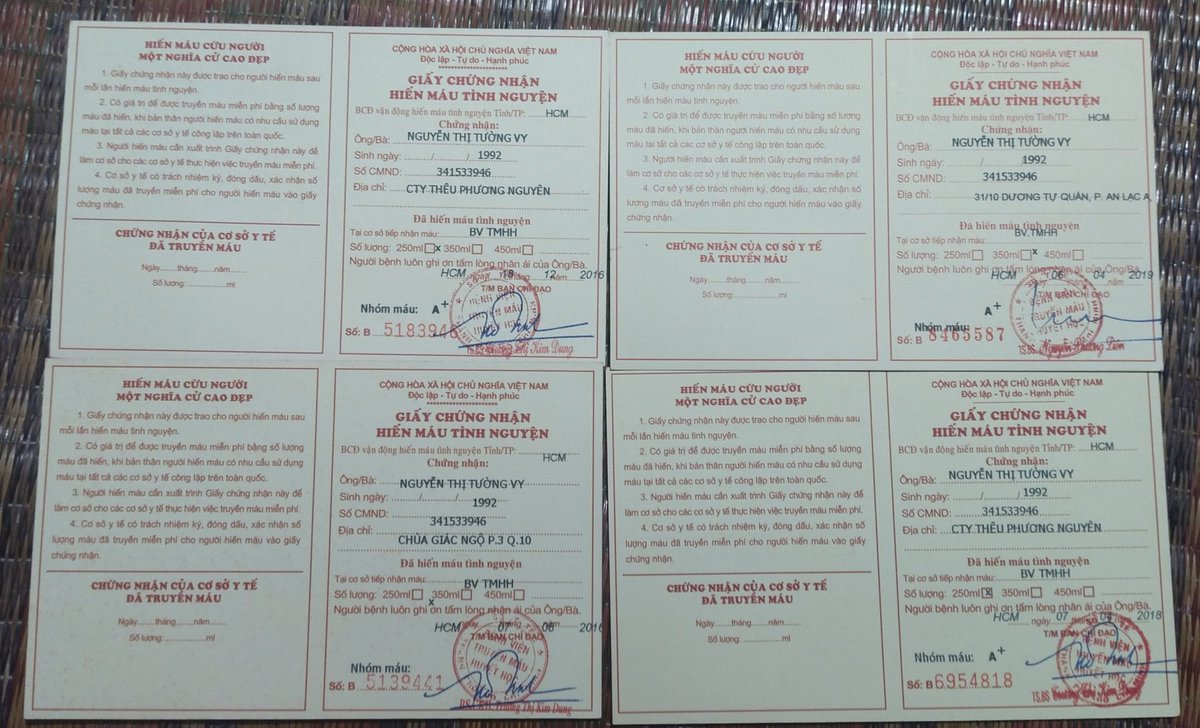 Vy Nguyễn | Kathy tweet media