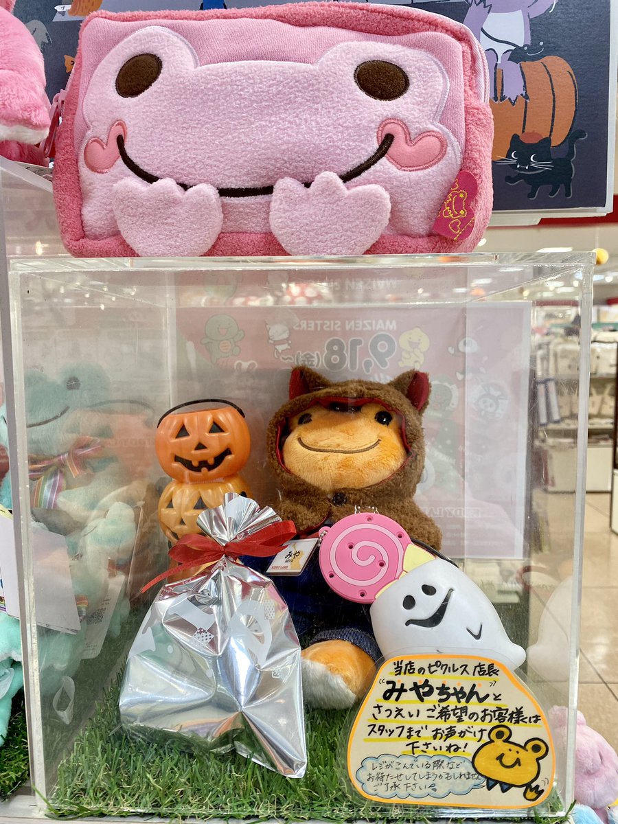 マハロ with 増田ポピー🐸 tweet media