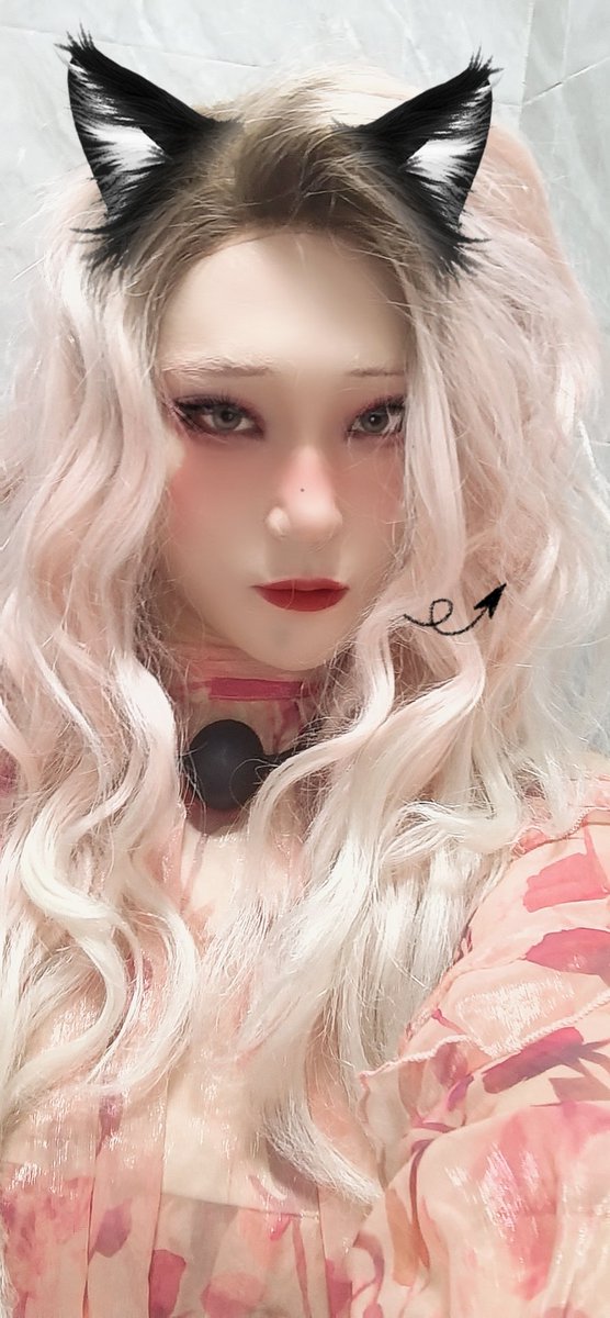 西瓜硬壳子 tweet media